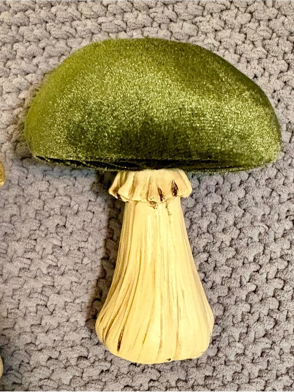 3 velvet top Fall mushrooms